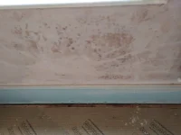 IMG_20231120_122003386.jpg