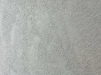 Professional opinions required on render finish