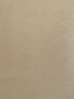 Is my plaster dry?