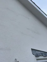 mono damp patches