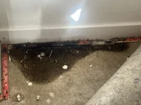 Dampness! Anyone help?