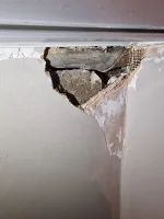 Damp under bay window joins
