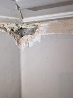 Damp under bay window joins