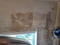 1934 - Lime based walls? Inside leaf of exterior cavity walls -  Can gypsum be used to skim old based walls - read shouldn't use cement based product?