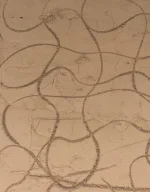 Hardwall cracked once dry