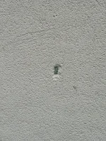 Ghosting and possible damp