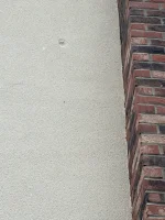 Ghosting and possible damp