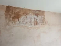 Damp proof advice