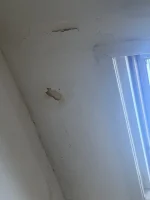 Overboard ceiling??