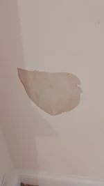 plaster has blown after painting