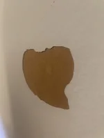 What is going on here?