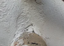 Basecoat for thincoat feedback