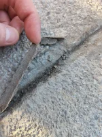Patio sand/cement pointing
