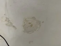 Damp patches under indow cill help help help