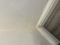 Damp patches under indow cill help help help