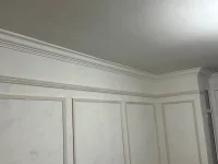 Hi! Would appreciate coving advice