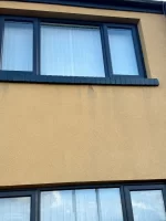 Johnstone silicone enhanced render 1.5mm