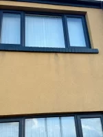 Cleaning paint off silicone render