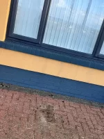 Cleaning paint off silicone render