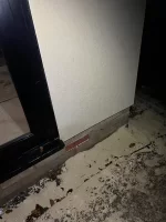 Damp on inside and outside following rain, recently rendered.
