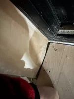 Damp on inside and outside following rain, recently rendered.