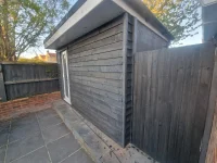 Mould within roof?