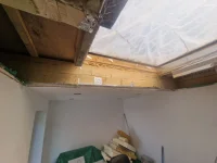 Mould within roof?