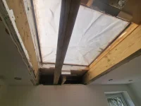 Mould within roof?