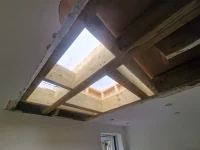 Mould within roof?