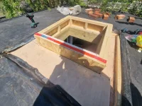 Mould within roof?