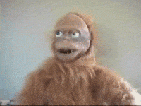 B0FC0E63-D3B9-4C23-B7F3-F9FEB4CE8390.gif