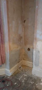 I removed mouldy wallpaper to find this - any guidance appreciated
