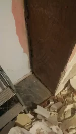 Newly qualified plasterer