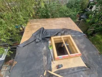 Mould within roof?