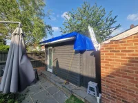 Mould within roof?