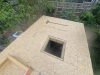 Mould within roof?