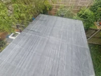 Mould within roof?