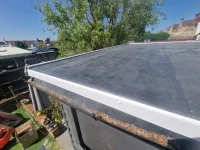 Mould within roof?