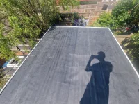 Mould within roof?