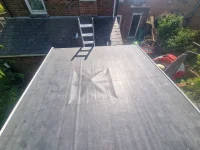 Mould within roof?