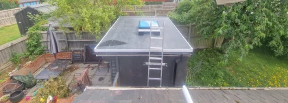 Mould within roof?