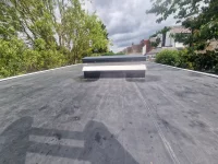 Mould within roof?