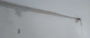 Need some help. Plaster wall repair - horsehair