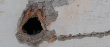 Need some help. Plaster wall repair - horsehair