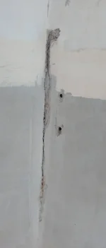 Need some help. Plaster wall repair - horsehair
