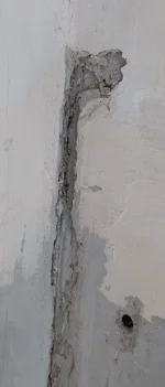 Need some help. Plaster wall repair - horsehair