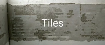 Need some help. Plaster wall repair - horsehair