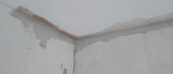 Need some help. Plaster wall repair - horsehair