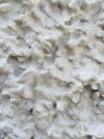Roughcast/wet dash