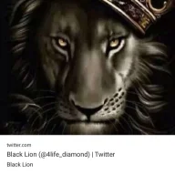Jasonharmse
